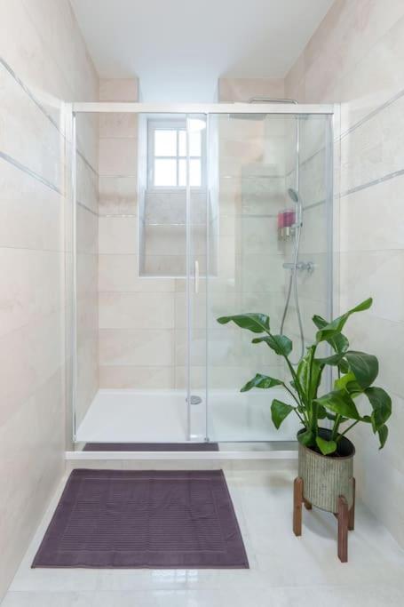 Appartement Lumineux Avec Cour